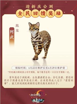 天龙八部私服怎么调试